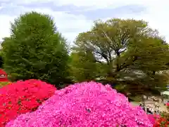 根津神社の庭園