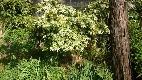 弥生神社のその他建物