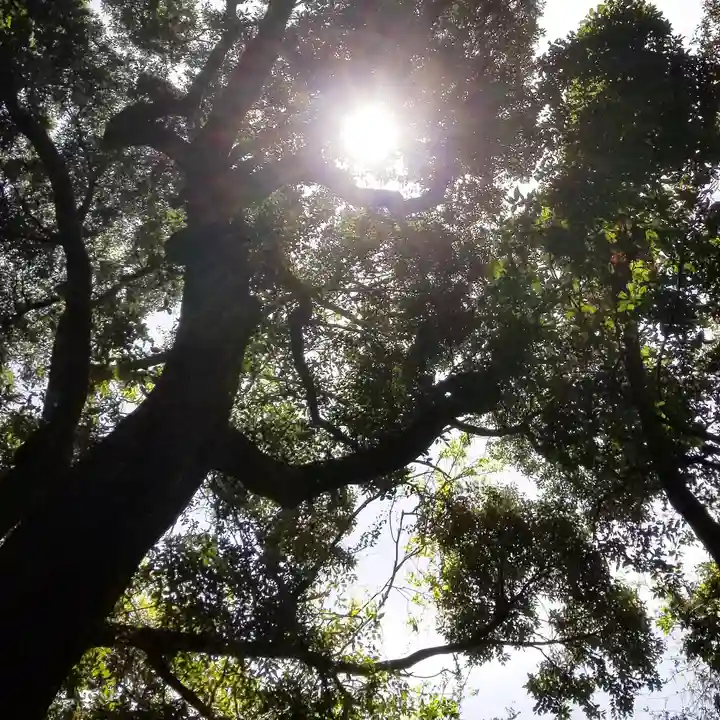 沼尾神社の自然