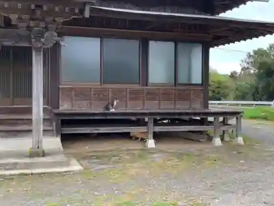 大圓院のその他建物