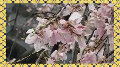 尾久八幡神社(東京都)