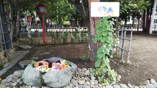 発寒神社の手水