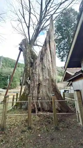 旗挙八幡宮(長野県)