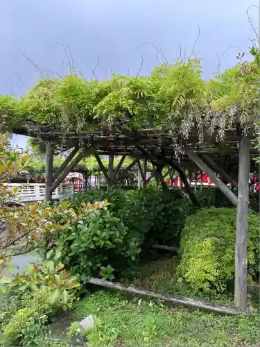 亀戸天神社(東京都)