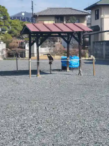 龍蔵寺(栃木県)