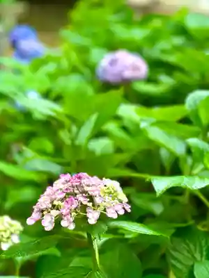 生田神社(兵庫県)