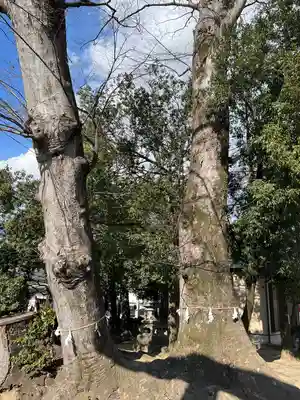 上野総社神社(群馬県)