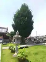 光明寺(栃木県)