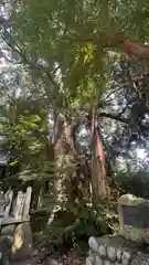 愛賀神社(滋賀県)