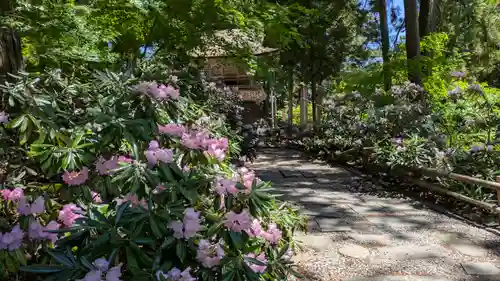 成相寺(京都府)