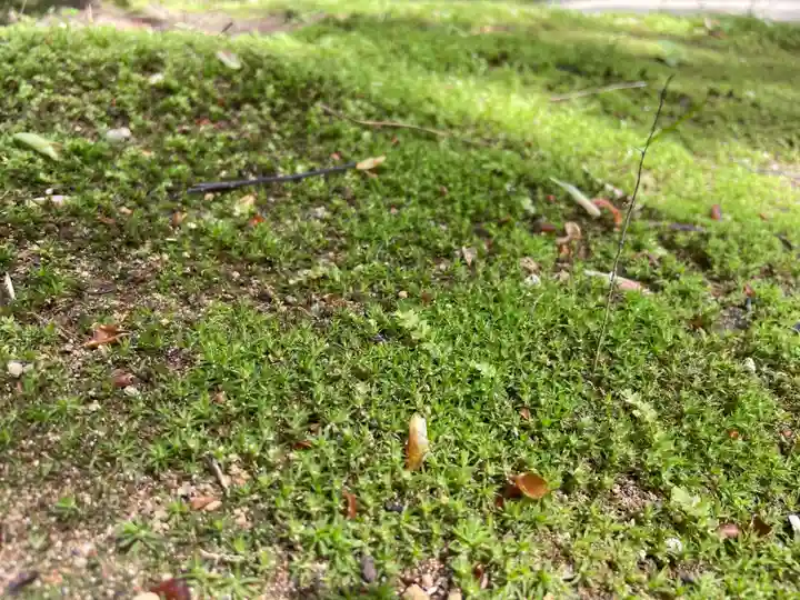 正一位稲荷神社(千葉県)