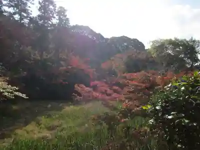 長岳寺(奈良県)
