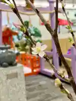 メノコト神社(京都府)