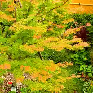 寿量山 速成寺(奈良県)(2022年09月30日(金) 12時36分28秒投稿)