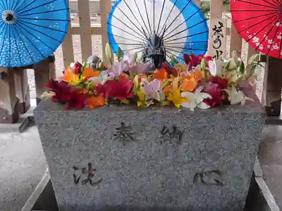 札幌諏訪神社の手水舎