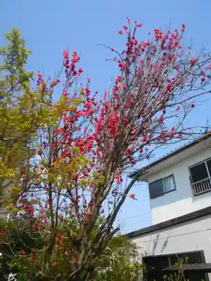 向福寺(神奈川県)