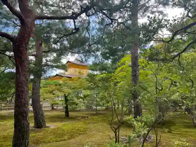 鹿苑寺(金閣寺)(京都府)