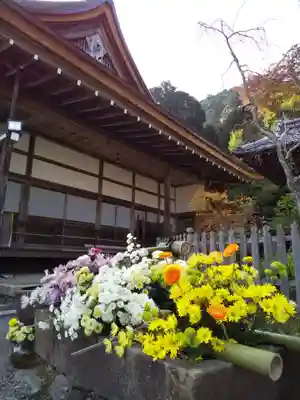 二尊院(京都府)