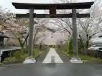 高麗神社の{uncategorized: "未分類", other: "その他", undefined: "問題あり", building: "その他建物", grave: "お墓", sacred_gate: "鳥居", guardian: "狛犬", statue: "像", buddha: "仏像", history: "歴史", nature: "自然", garden: "庭園", animal: "動物", pagoda: "塔", temizu: "手水舎", mountain_gate: "山門・神門", sanctuary: "本殿・本堂", subordinate: "末社・摂社", art: "芸術", scenery: "景色", jizo: "地蔵", ema: "絵馬", goshuin: "御朱印", omikuji: "おみくじ", items: "授与品その他", amulet: "お守り", goshuincho: "御朱印帳", eats: "食事", festival: "お祭り", votive_dance: "神楽", shichigosan: "七五三参", wedding: "結婚式", experience: "体験その他", initially: "初詣", around: "周辺", anti_infection: "感染症対策"}