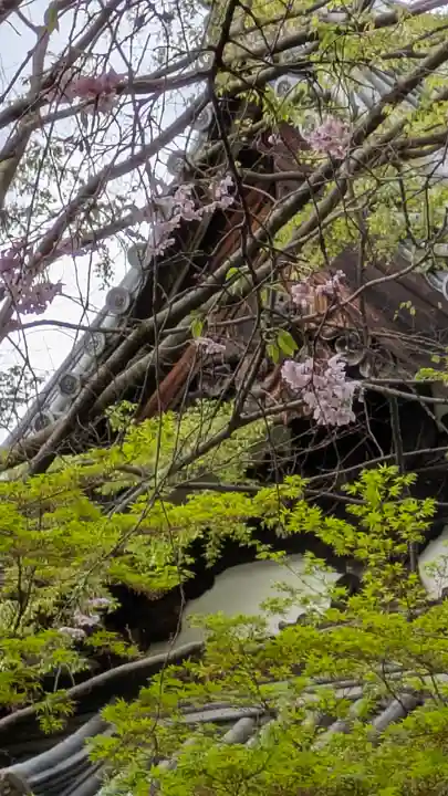 宝積寺(京都府)