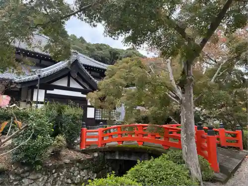 金剛寺(大阪府)