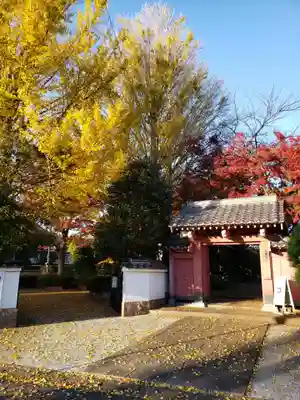 源光寺（回向院市川別院）の山門・神門