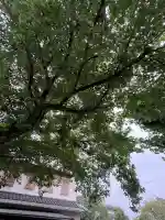 仏照寺(茨城県)