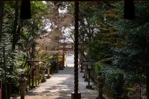 大田神社（賀茂別雷神社境外摂社）(京都府)