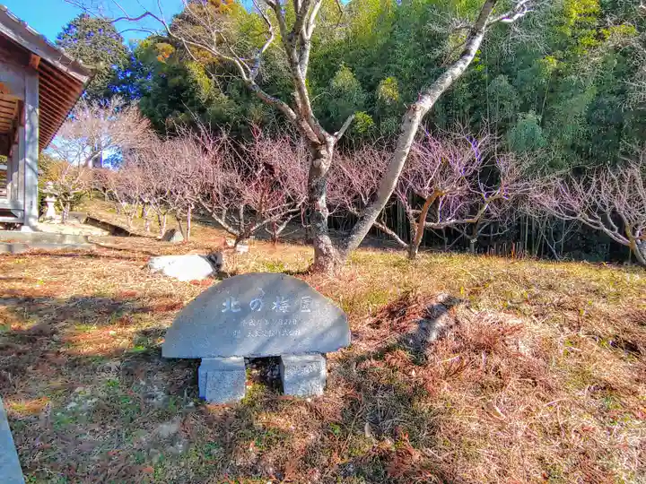 北野社(北野天満宮)の自然