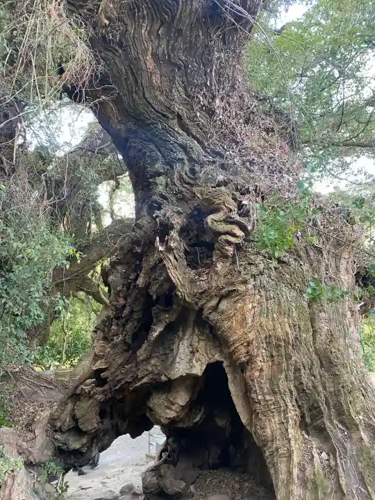 大山祇神社奥の院 生樹の御門の{uncategorized: "未分類", other: "その他", undefined: "問題あり", building: "その他建物", grave: "お墓", sacred_gate: "鳥居", guardian: "狛犬", statue: "像", buddha: "仏像", history: "歴史", nature: "自然", garden: "庭園", animal: "動物", pagoda: "塔", temizu: "手水舎", mountain_gate: "山門・神門", sanctuary: "本殿・本堂", subordinate: "末社・摂社", art: "芸術", scenery: "景色", jizo: "地蔵", ema: "絵馬", goshuin: "御朱印", omikuji: "おみくじ", items: "授与品その他", amulet: "お守り", goshuincho: "御朱印帳", eats: "食事", festival: "お祭り", votive_dance: "神楽", shichigosan: "七五三参", wedding: "結婚式", experience: "体験その他", initially: "初詣", around: "周辺", anti_infection: "感染症対策"}