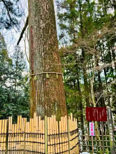 水澤寺(水澤観世音)の{uncategorized: "未分類", other: "その他", undefined: "問題あり", building: "その他建物", grave: "お墓", sacred_gate: "鳥居", guardian: "狛犬", statue: "像", buddha: "仏像", history: "歴史", nature: "自然", garden: "庭園", animal: "動物", pagoda: "塔", temizu: "手水舎", mountain_gate: "山門・神門", sanctuary: "本殿・本堂", subordinate: "末社・摂社", art: "芸術", scenery: "景色", jizo: "地蔵", ema: "絵馬", goshuin: "御朱印", omikuji: "おみくじ", items: "授与品その他", amulet: "お守り", goshuincho: "御朱印帳", eats: "食事", festival: "お祭り", votive_dance: "神楽", shichigosan: "七五三参", wedding: "結婚式", experience: "体験その他", initially: "初詣", around: "周辺", anti_infection: "感染症対策"}
