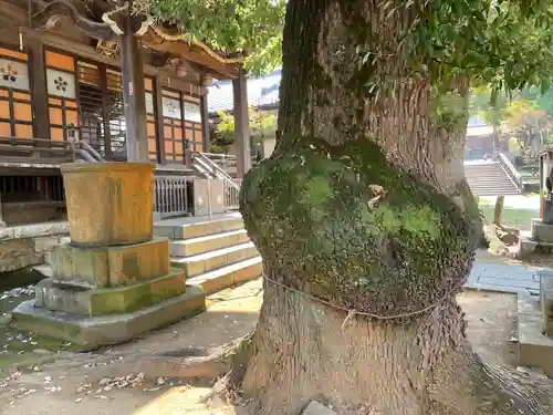 西向天神社のその他建物