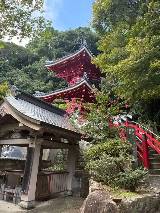 金泉寺(徳島県)