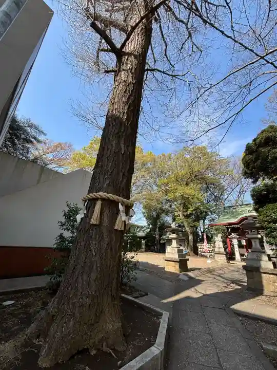 駒繋神社(東京都)