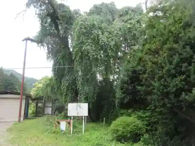 円通寺(埼玉県)