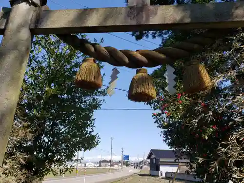 小杉神社の鳥居