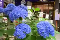 十番稲荷神社(東京都)