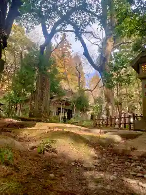 五所駒瀧神社(茨城県)