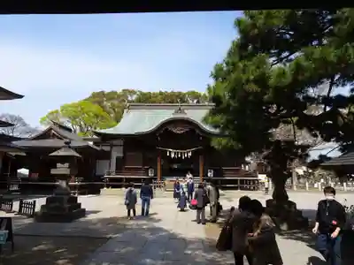 葛飾八幡宮の本殿・本堂
