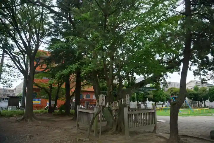 湊新田胡録神社の自然
