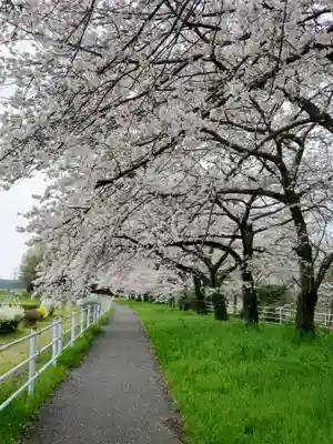 唐澤山神社の自然