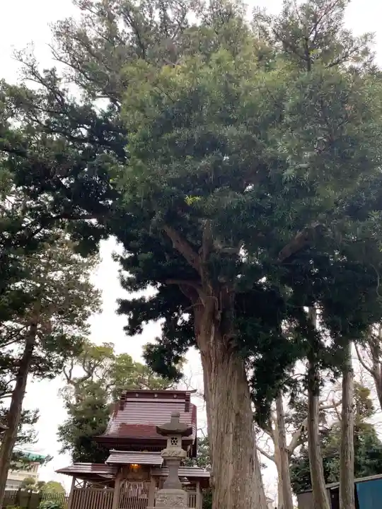 星之宮大神(千葉県)