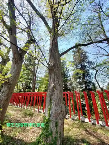 伊佐須美神社(福島県)