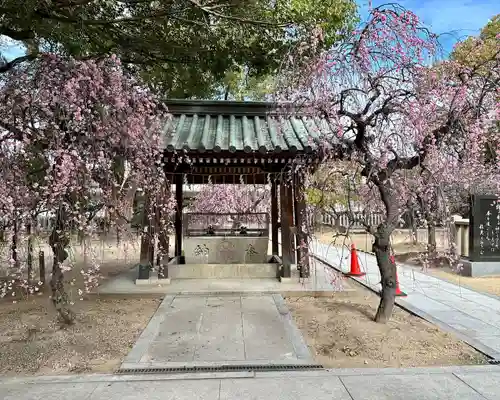 屯倉神社の手水