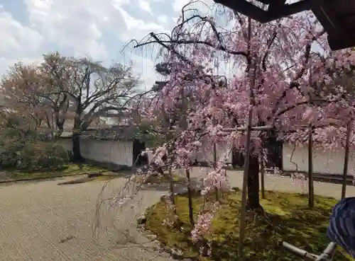 醍醐寺(京都府)