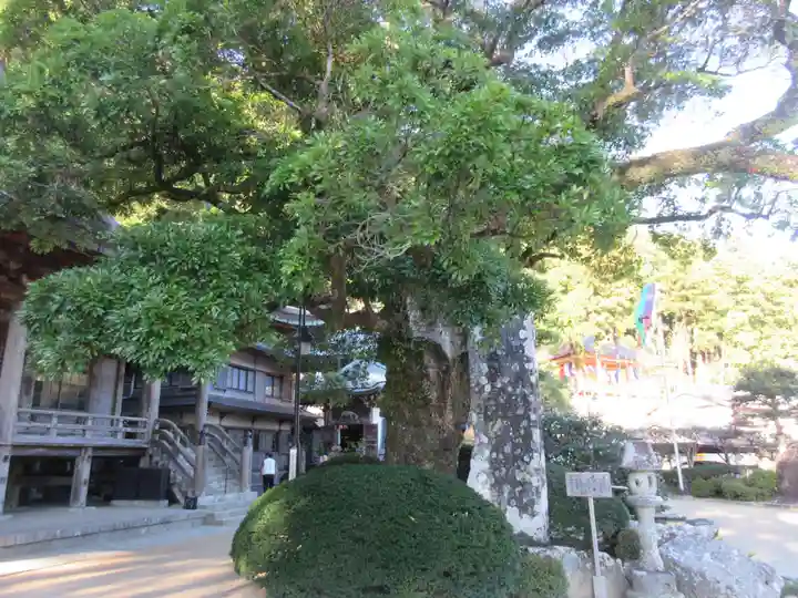 青岸渡寺(和歌山県)