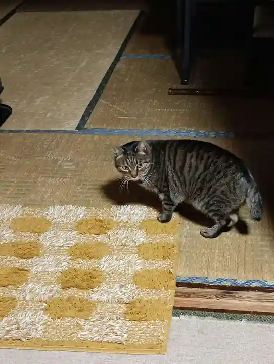 常光寺(長野県)