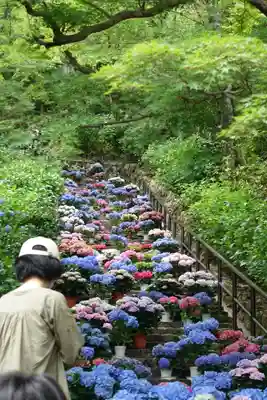長谷寺(奈良県)