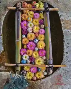 立志神社の手水舎(2024年11月01日(金) 21時39分20秒投稿)