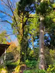 諏訪神社(新潟県)